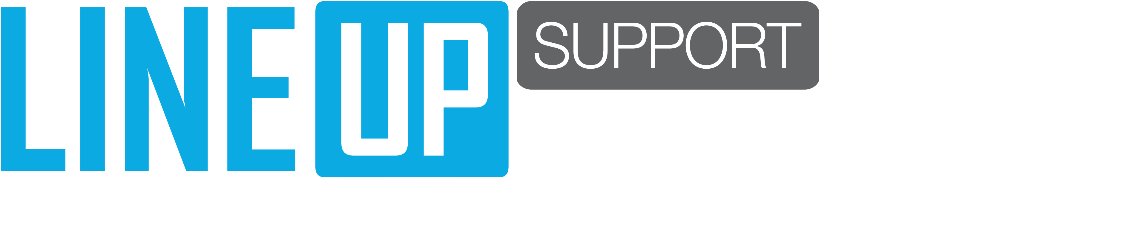 LINEUP support pole 